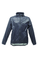 da017-grey.jpg