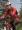 Sports soft shell jacket